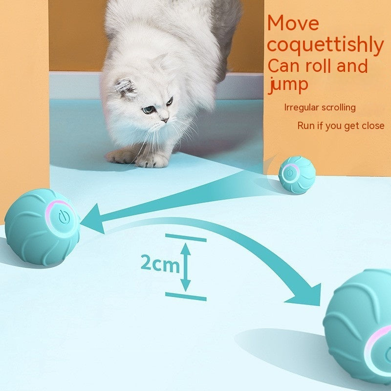 Smarter rollender Katzen-Spielball