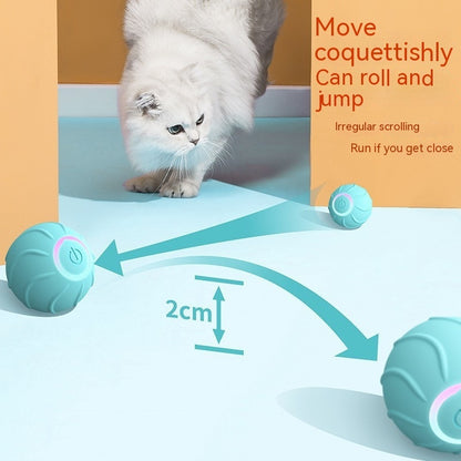 Smarter rollender Katzen-Spielball