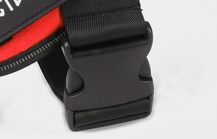 Hundegeschirr zum Gassigehen