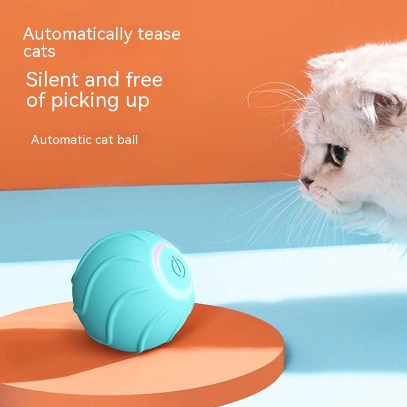 Smarter rollender Katzen-Spielball