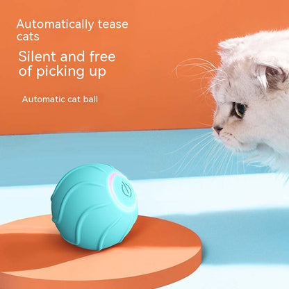 Smarter rollender Katzen-Spielball