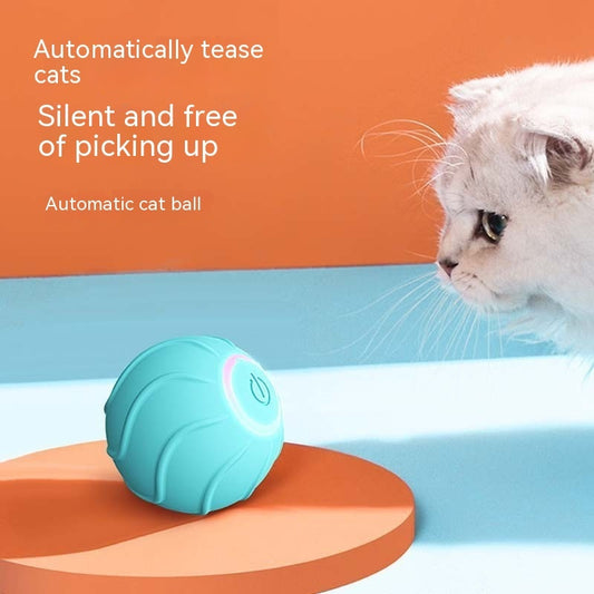 Smarter rollender Katzen-Spielball