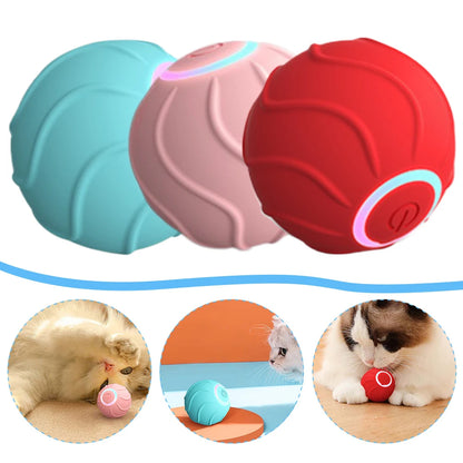 Smarter rollender Katzen-Spielball