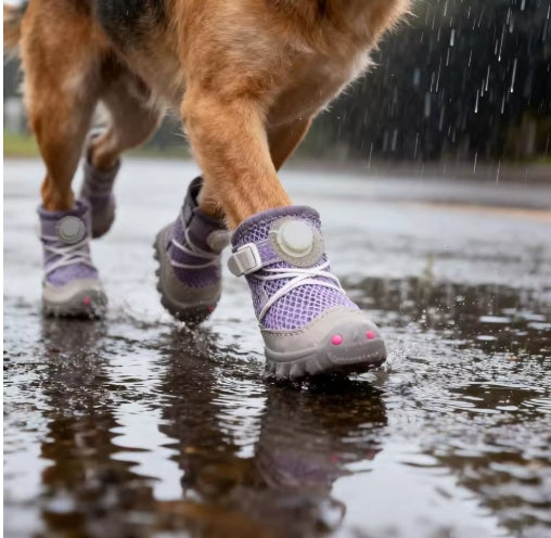 Rutschfeste Hundeschuhe