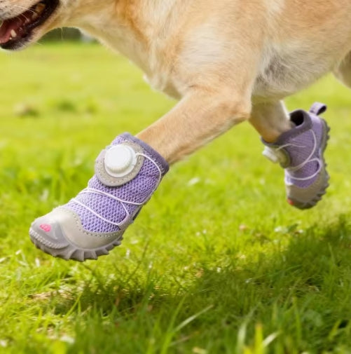 Rutschfeste Hundeschuhe