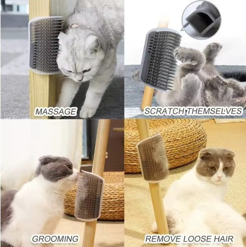 Katzenkratzer & Massagebürste
