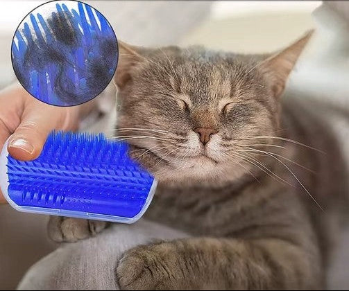 Katzenkratzer & Massagebürste