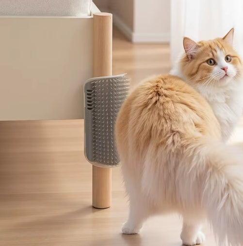 Katzenkratzer & Massagebürste