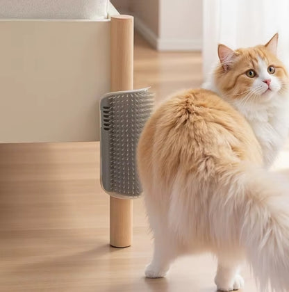 Katzenkratzer & Massagebürste