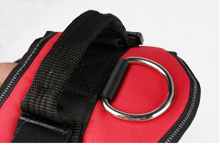 Hundegeschirr zum Gassigehen