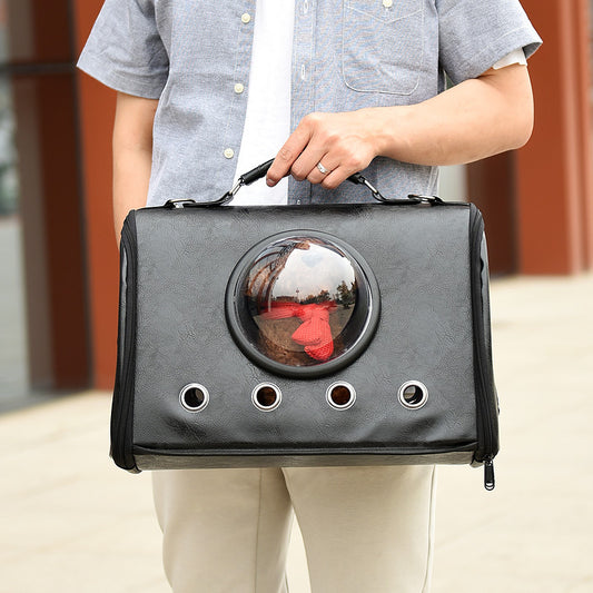 Transparenter Haustier-Rucksack